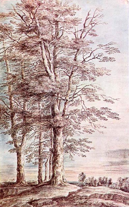 UDEN, Lucas van Landscape with Tall Trees dg France oil painting art